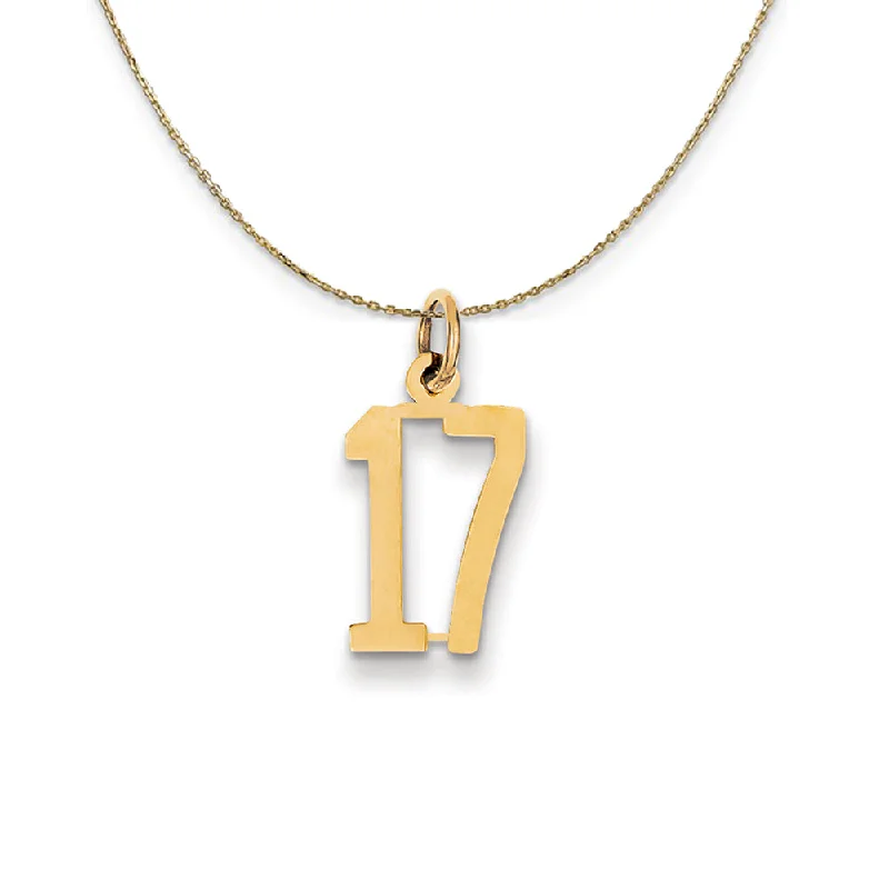 bold opal summit peak necklace-14k Yellow Gold, Alumni Small Elongated Number 17 Necklace