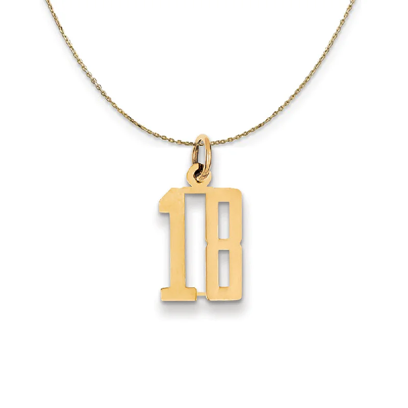 14k Yellow Gold, Alumni Small Elongated Number 18 Necklace