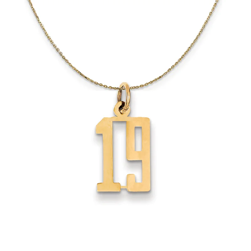 bohemian peak summit necklace-14k Yellow Gold, Alumni Small Elongated Number 19 Necklace