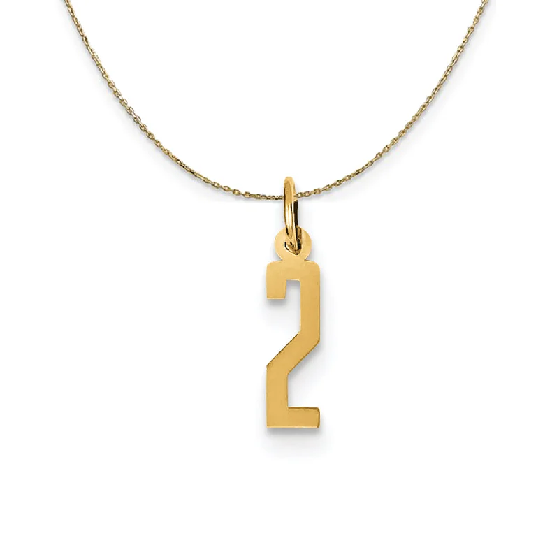 14k Yellow Gold, Alumni Small Elongated Number 2 Necklace