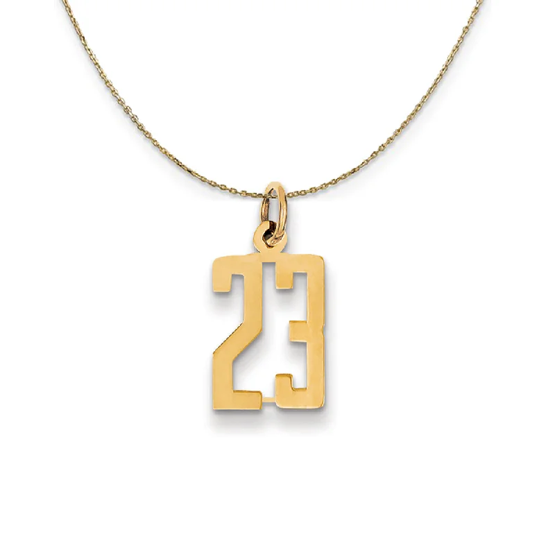 inscribed dynasty chain necklace-14k Yellow Gold, Alumni Small Elongated Number 23 Necklace