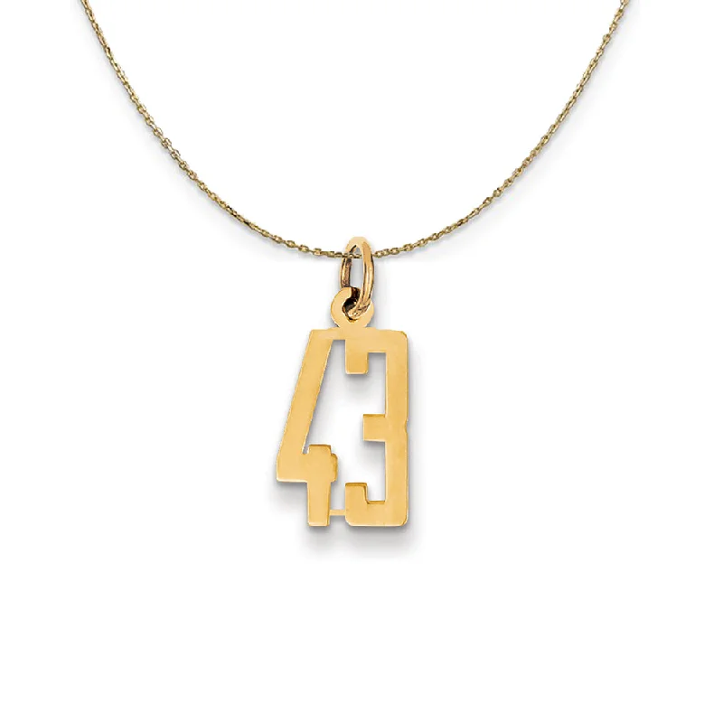 14k Yellow Gold, Alumni Small Elongated Number 43 Necklace