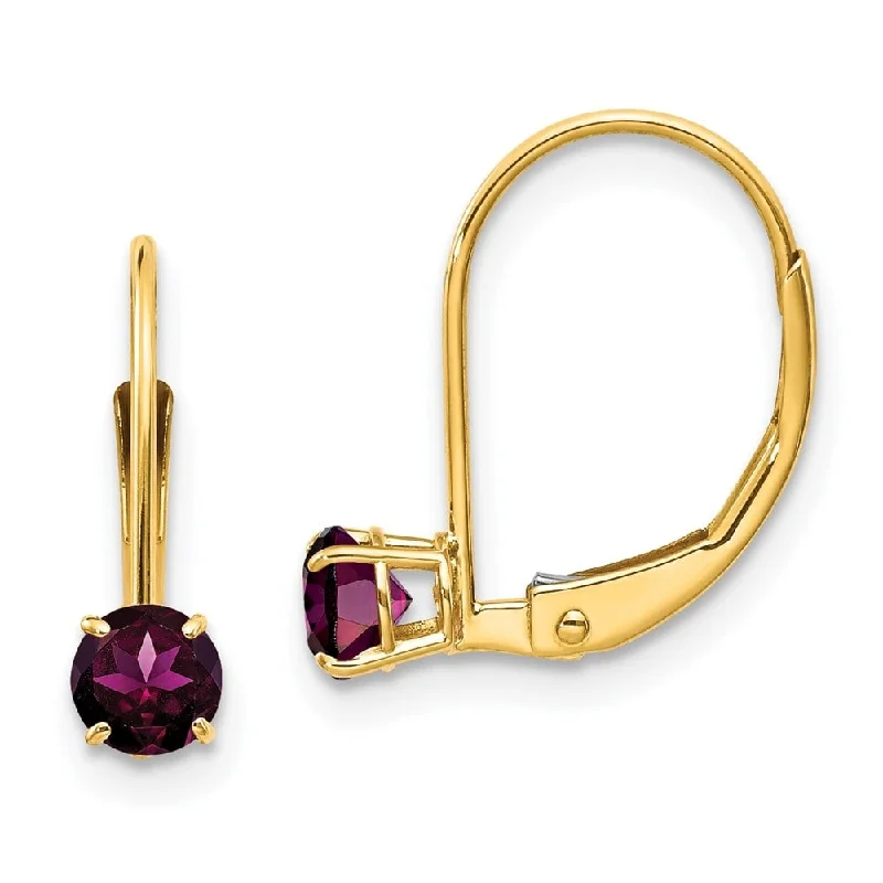 raw jade accent earrings-14k Yellow Gold Round June Rhodolite Drop Earrings w/ Leverback (L-13 mm, W-4 mm)